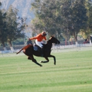 Uncle Jake's Petting Zoo & Riding Lessons - Horse Training