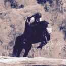 Taylor Simmons Equestrian - Horse Training