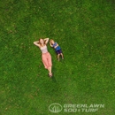 Greenlawn Sod & Turf