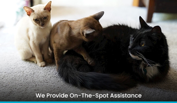 Leopold Pet Hospital - Leopold, VIC. We Provide On-The-Spot Assistance