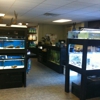 The Aquarium Store gallery