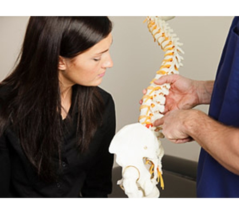 Toowoomba Chiropractic Centre. - East Toowoomba, QLD. Spinal Model Explanation