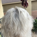Mark Pardo SalonSpa - Day Spas