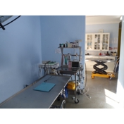 Gallery Image Number 2