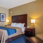 Comfort Inn & Suites Sea-Tac Airport