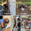 Freedom Pest Services - Pest Control Services
