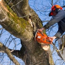 Agnew Tree Service - Tree Service