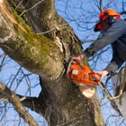 Agnew Tree Service