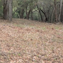 ClearView Forestry Mulching - Forestry Consulting