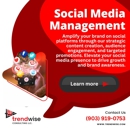 Trendwise Consulting - Web Site Design & Services