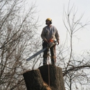 DuFault Tree Services - Tree Service