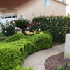 Easy Green Landscaping gallery