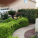 Easy Green Landscaping - Landscape Designers & Consultants