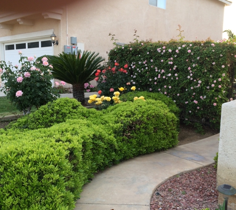 Easy Green Landscaping - Mira Loma, CA