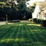 Michael Santos Irrigation & Lawn Care