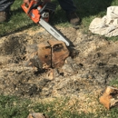 EverGreen Lawn & Landscape Service - Gardeners
