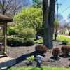 Buckeye Landscaping & Oheil Irrigation gallery