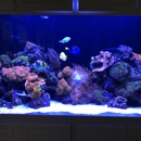 California Custom Aquariums - Aquariums & Aquarium Supplies-Leasing & Maintenance