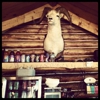 Sheep Mountain Lodge gallery