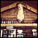 Sheep Mountain Lodge - Lodging