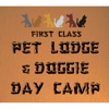 First Class Pet Lodge & Doggie Day Care gallery