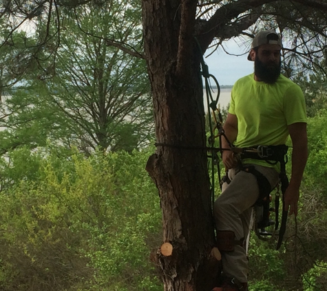 Jeff's Tree Service - Memphis, TN