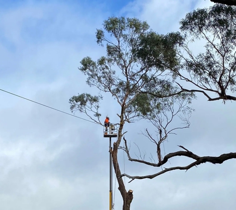 Regal Trees Pty Ltd