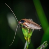 Southern Target Exterminating gallery