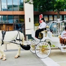 Vintage Carriage Company - Horse & Carriage-Rental