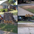 American Tree Specialist - Tree Service