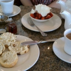 Garden View Tea Room