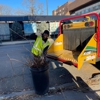 Creative Tree Service gallery
