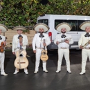Gran Mariachi Alas de America - Musicians