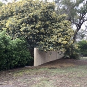 Gallery Image Number 2
