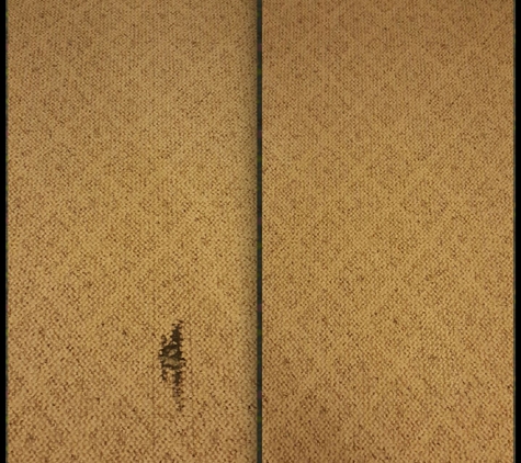 Carpet Restretch Repair - Lorain, OH