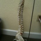 Vogel Chiropractic Clinic