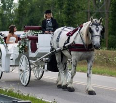 Camelot Carriage Rides - Decatur, IN