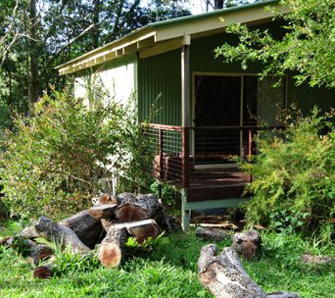 Kondalilla Eco Resort - Flaxton, QLD. Kondalilla Eco Resort Cabin