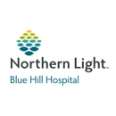 Northern Light Blue Hill Hospital - Hospitals