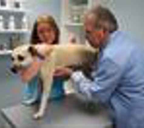 PetCare Animal Hospital - Loveland - Loveland, OH