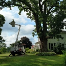 J's Tree Trimming And Removal, Inc. - Arborists
