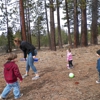 LETTYS TAHOE BABES DAYCARE gallery