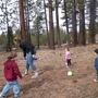 LETTYS TAHOE BABES DAYCARE