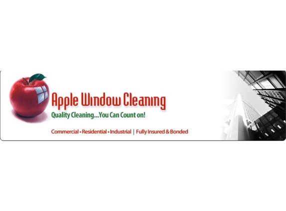 Apple Window Cleaning Inc - New York, NY
