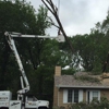 Cooke's Tree Service gallery