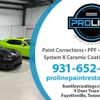 Proline Paint Restoration gallery
