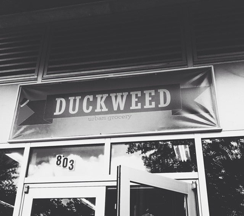 Duckweed Urban Market - Tampa, FL