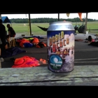 Skydive Palatka