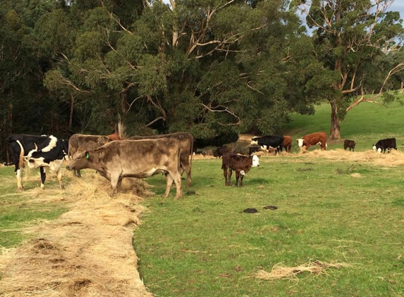 P W Morrissey Agricultural Contracting - Main Ridge, VIC
