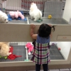 Family Pet Center gallery